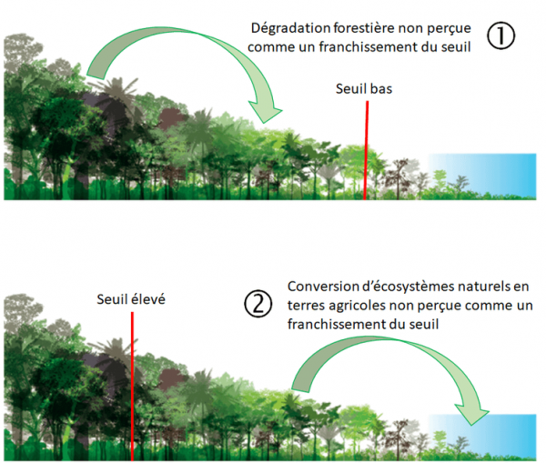 Effets du choix d’un seuil sur les perceptions de la déforestation et de la dégradation. Adapté de High Carbon Stock Approach, Author provided